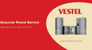 Çınarcık Vestel servisi