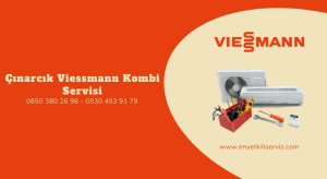 Çınarcık Viessmann kombi servisi